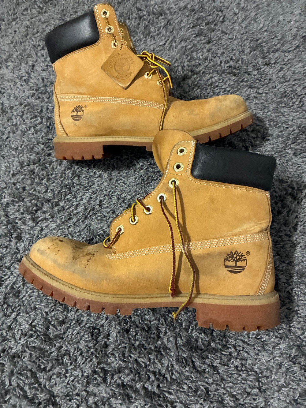 Timberland premium 6 inch boots